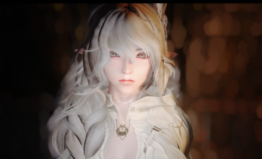 《上古卷軸5：天際重制版》HighPolyHead高聚頭v1.4MOD