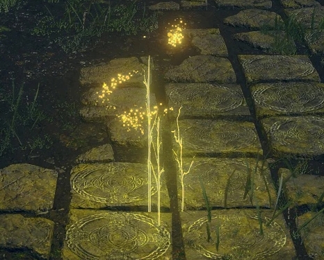 《艾爾登法環》死亡不損失符文MOD