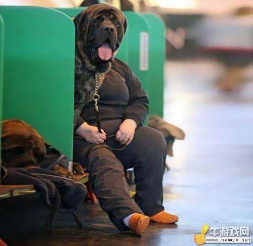 牛游戲網