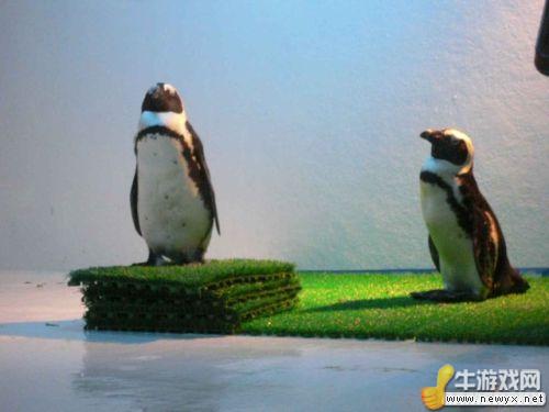 牛游戲網