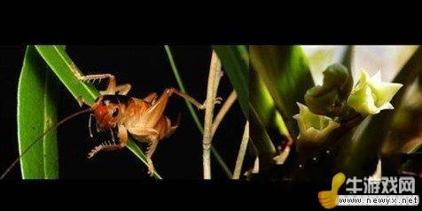 牛游戲網(wǎng)