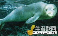 牛游戲網(wǎng)