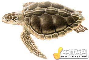 牛游戲網(wǎng)
