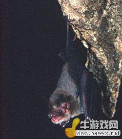 牛游戲網(wǎng)