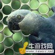 牛游戲網(wǎng)