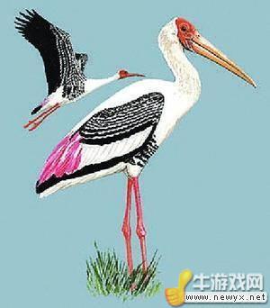 牛游戲網(wǎng)