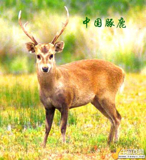 牛游戲網(wǎng)