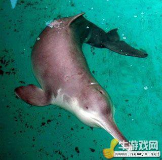 牛游戲網(wǎng)