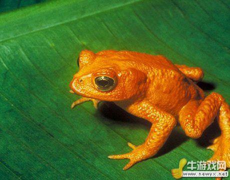 牛游戲網(wǎng)