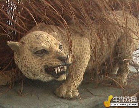 牛游戲網(wǎng)