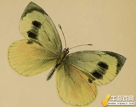 牛游戲網(wǎng)