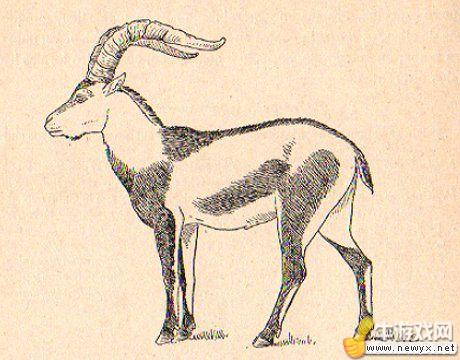 牛游戲網(wǎng)