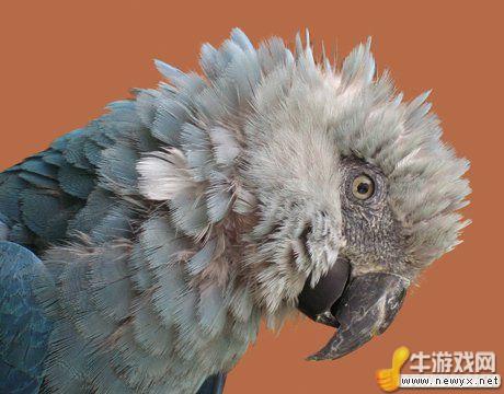 牛游戲網(wǎng)