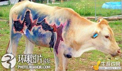 牛游戲網(wǎng)