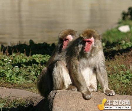 牛游戲網(wǎng)