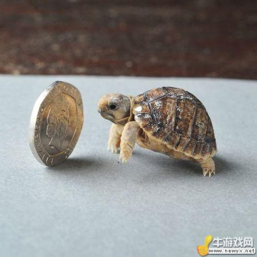 牛游戲網(wǎng)