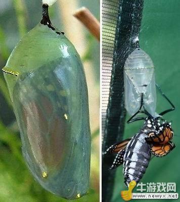 牛游戲網(wǎng)