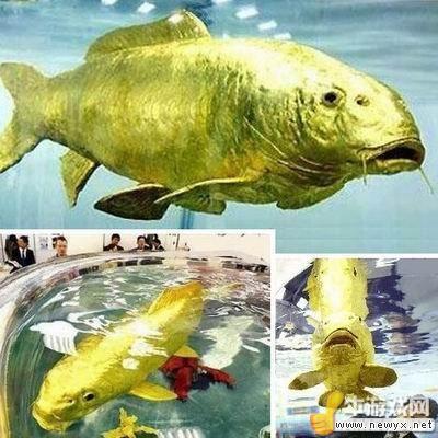 牛游戲網(wǎng)