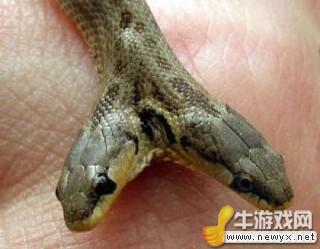 牛游戲網(wǎng)