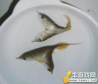 牛游戲網(wǎng)