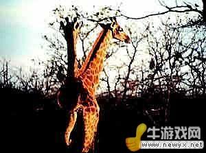 牛游戲網(wǎng)