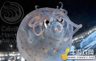 牛游戲網(wǎng)