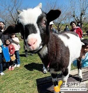 牛游戲網(wǎng)