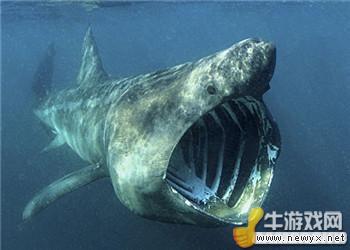 牛游戲網(wǎng)