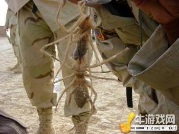 牛游戲網(wǎng)