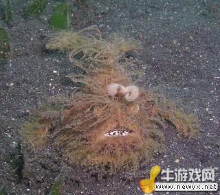 牛游戲網(wǎng)