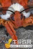 牛游戲網(wǎng)