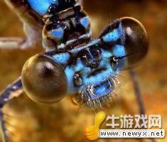 牛游戲網(wǎng)