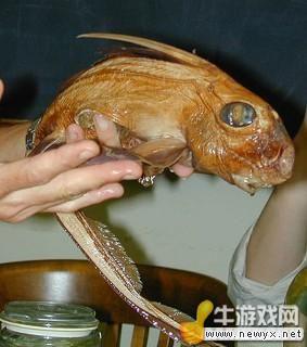 牛游戲網(wǎng)