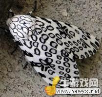 牛游戲網(wǎng)