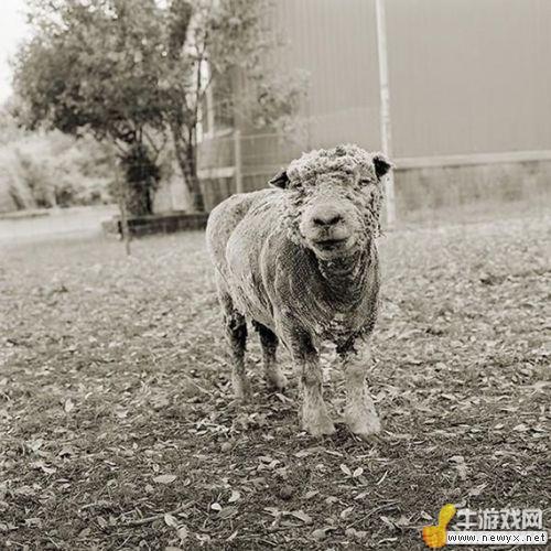 牛游戲網(wǎng)