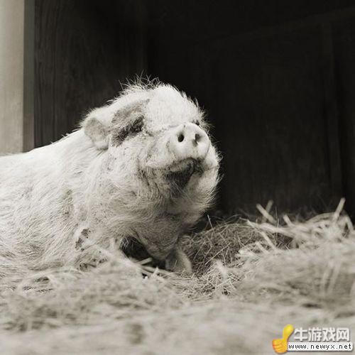 牛游戲網(wǎng)