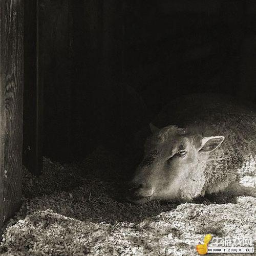 牛游戲網(wǎng)