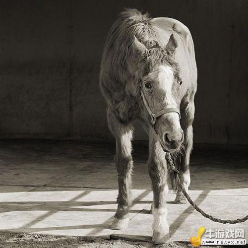 牛游戲網(wǎng)