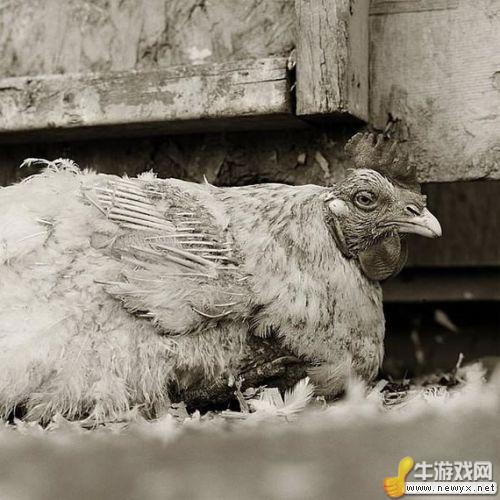 牛游戲網(wǎng)