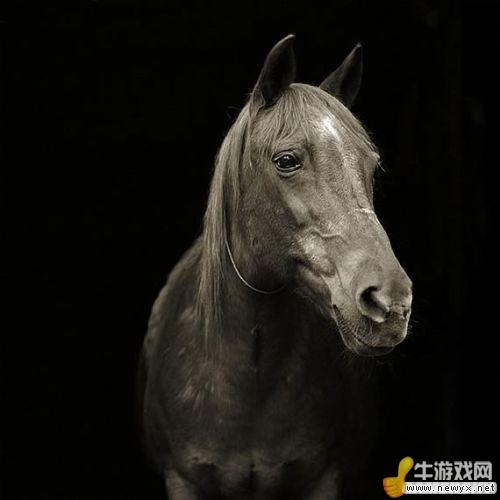 牛游戲網(wǎng)