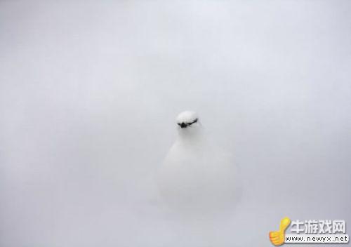 牛游戲網(wǎng)