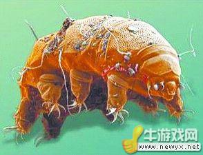 牛游戲網(wǎng)