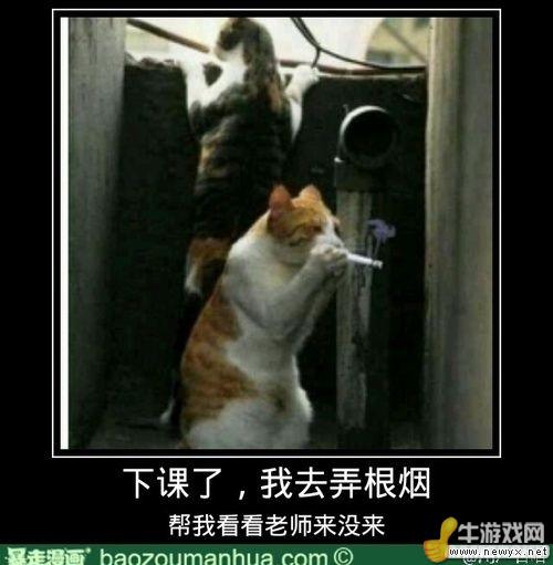 大圣請你放開那個女孩！牛游戲網(wǎng)神級吐槽圖片
