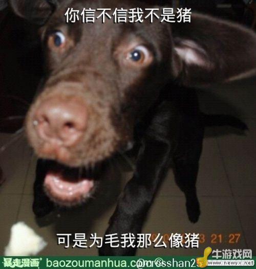 大圣請你放開那個女孩！牛游戲網(wǎng)神級吐槽圖片