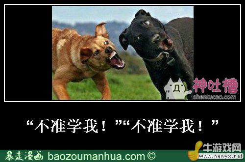 大圣請你放開那個女孩！牛游戲網(wǎng)神級吐槽圖片