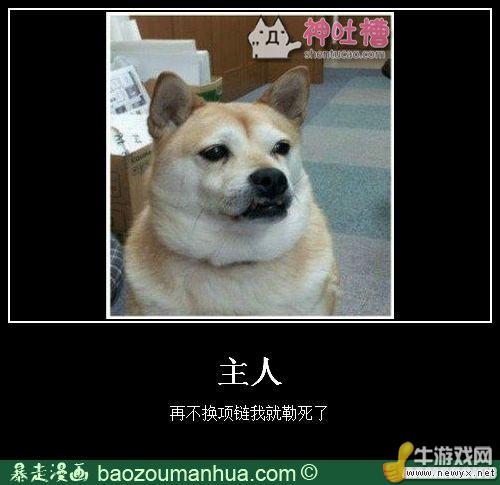 大圣請你放開那個女孩！牛游戲網(wǎng)神級吐槽圖片
