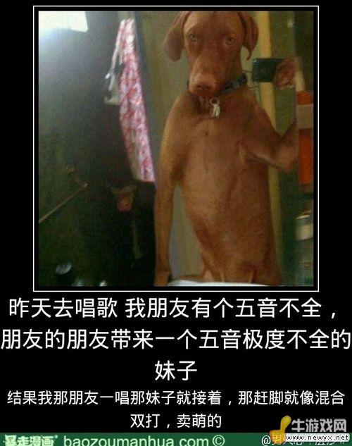 大圣請你放開那個女孩！牛游戲網(wǎng)神級吐槽圖片