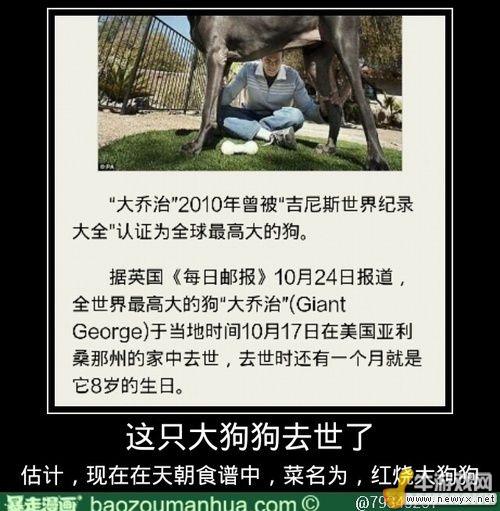 牛游戲網(wǎng)