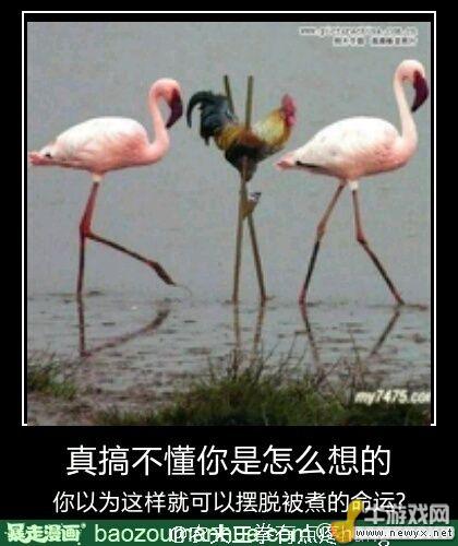 牛游戲網(wǎng)