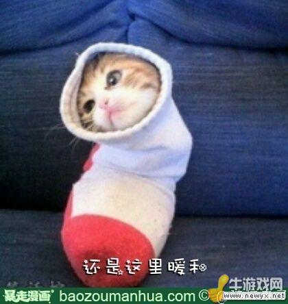 牛游戲網(wǎng)